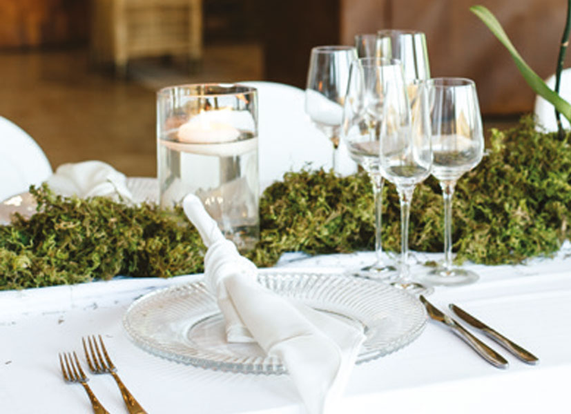 Place setting with folded napkin, wine glasses, and a moss table runner